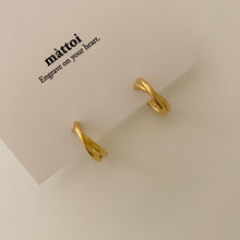 Load image into Gallery viewer, [mattoi] Two Lines Ring Earrings
