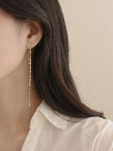 Load image into Gallery viewer, [mattoi] Shine Drop Earrings
