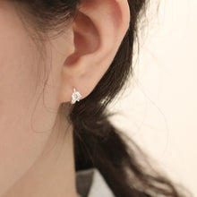 Load image into Gallery viewer, [mattoi] Carat Cubic Earrings
