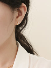 Load image into Gallery viewer, [mattoi] Carat Cubic Earrings
